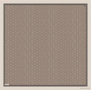 Armine Aries Women Silk Scarf #32
