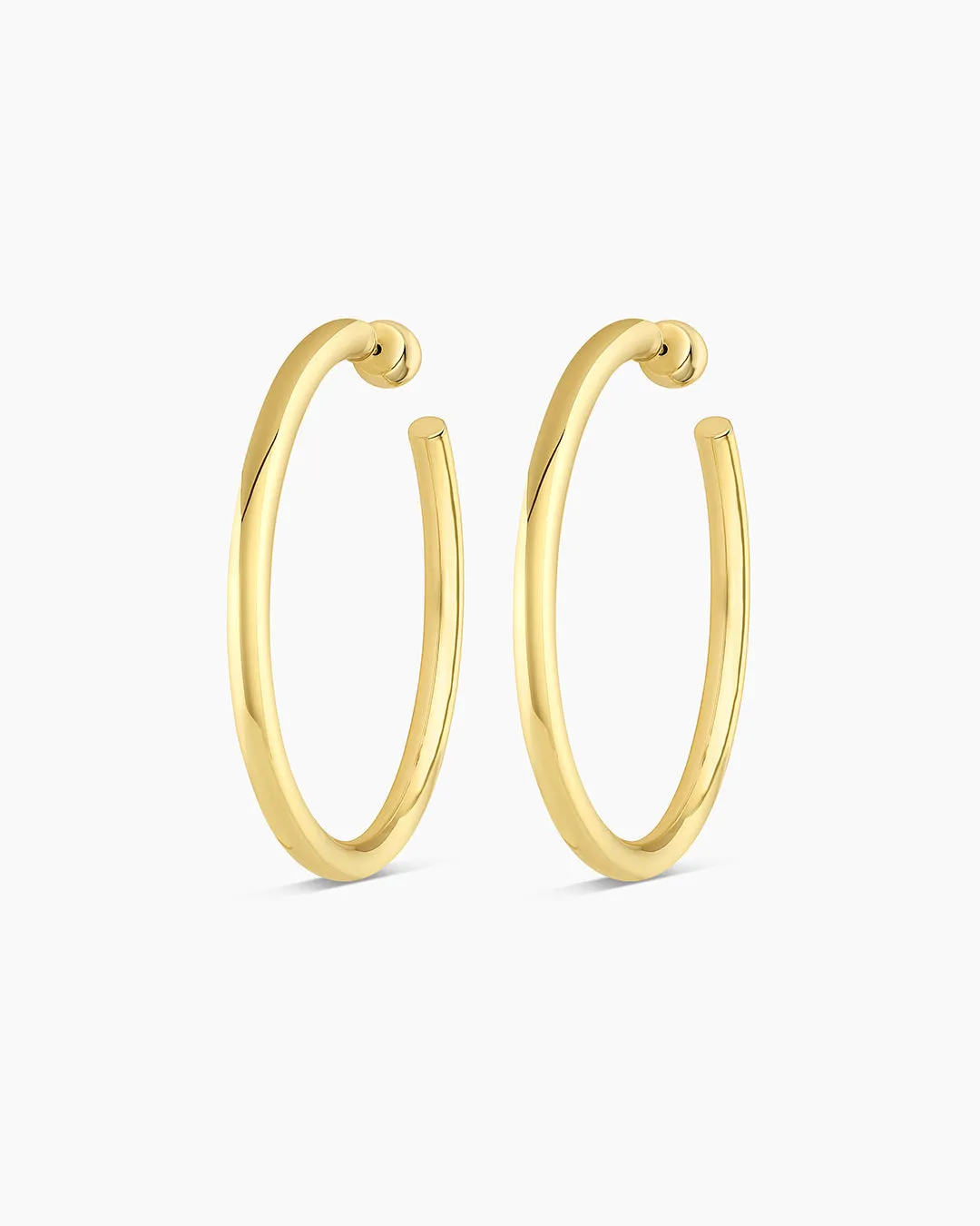 Carter Statement Hoops