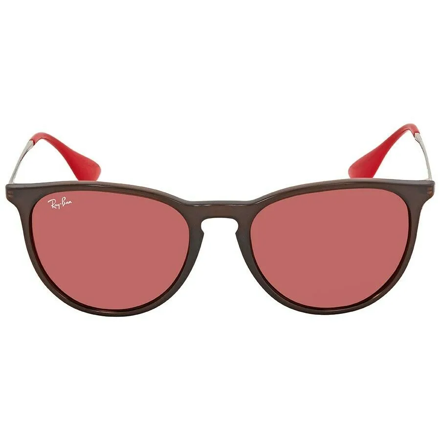 Ray-Ban Erika Unisex Sunglasses RB 4171 6339D0
