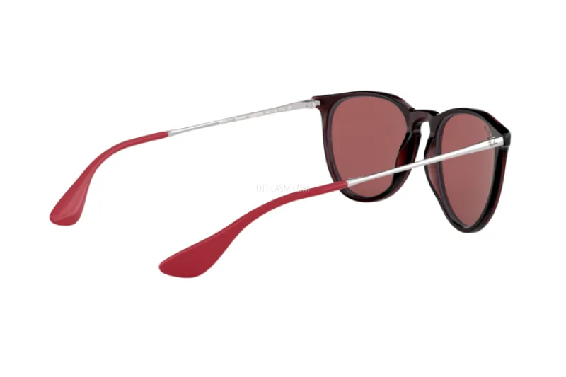 Ray-Ban Erika Unisex Sunglasses RB 4171 6339D0